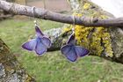 Chalk Hill Blue butterfly earrings by Photofinish Jewellery